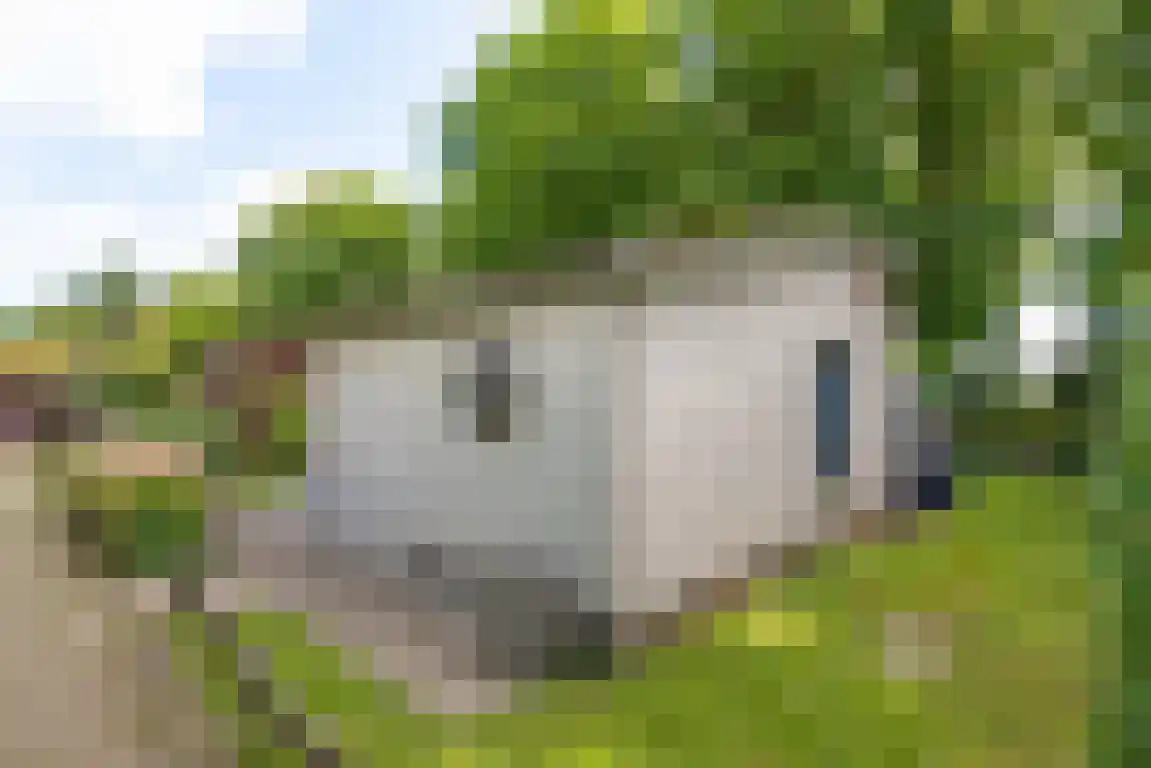 Rekerlanden 156 Warmenhuizen thumbnail 8