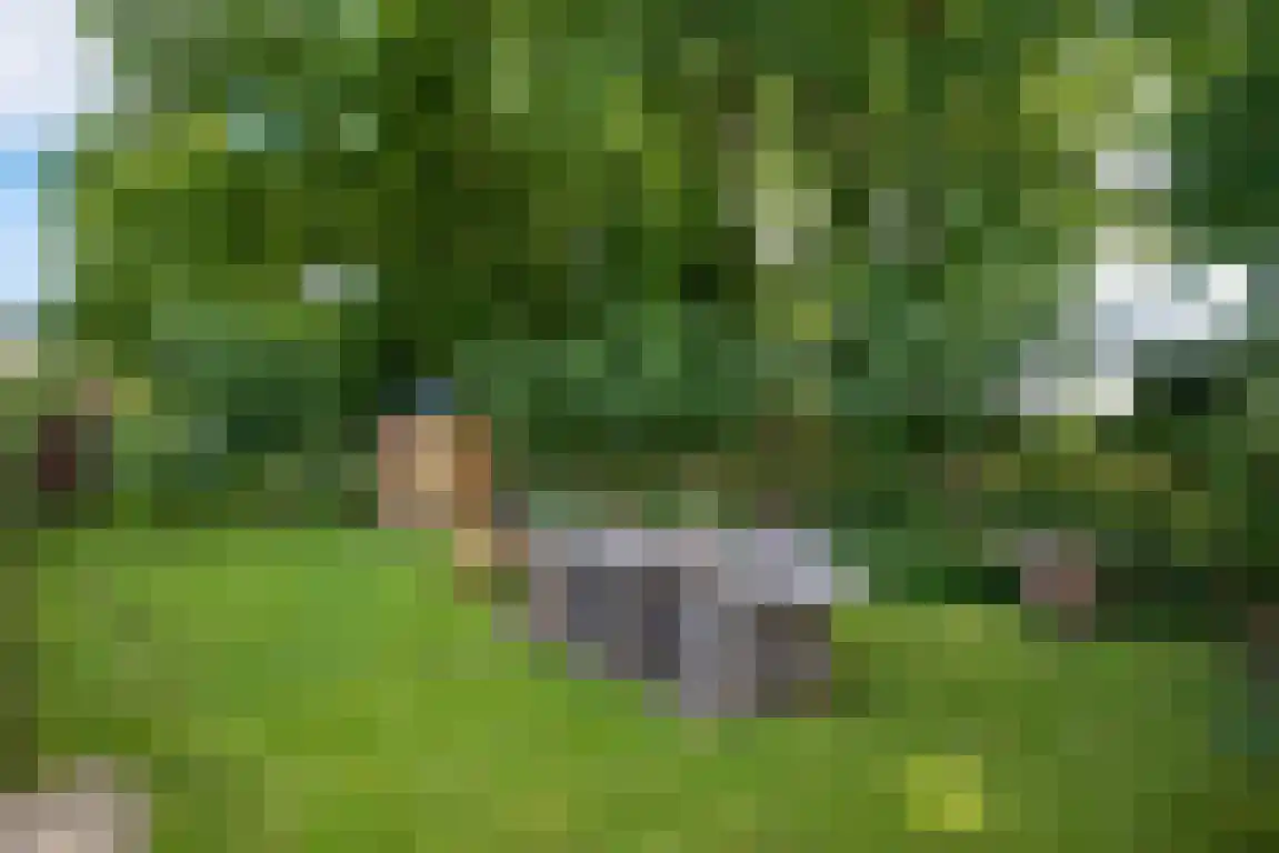 Rekerlanden 156 Warmenhuizen thumbnail 9
