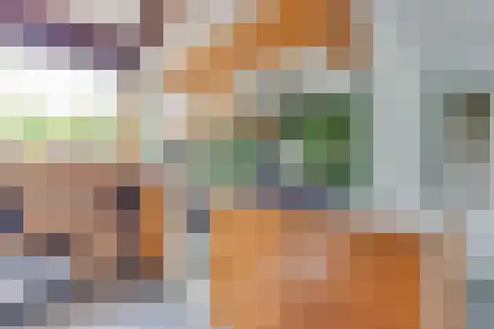 Rekerlanden 16 Warmenhuizen thumbnail 15