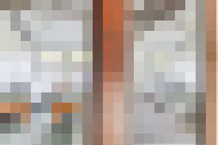 Rekerlanden 16 Warmenhuizen thumbnail 20