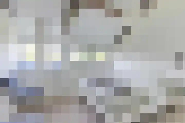 Rekerlanden 16 Warmenhuizen thumbnail 21