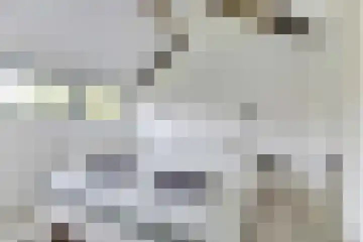 Rekerlanden 16 Warmenhuizen thumbnail 22