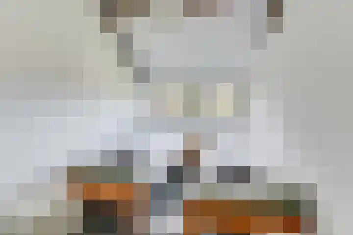 Rekerlanden 16 Warmenhuizen thumbnail 24