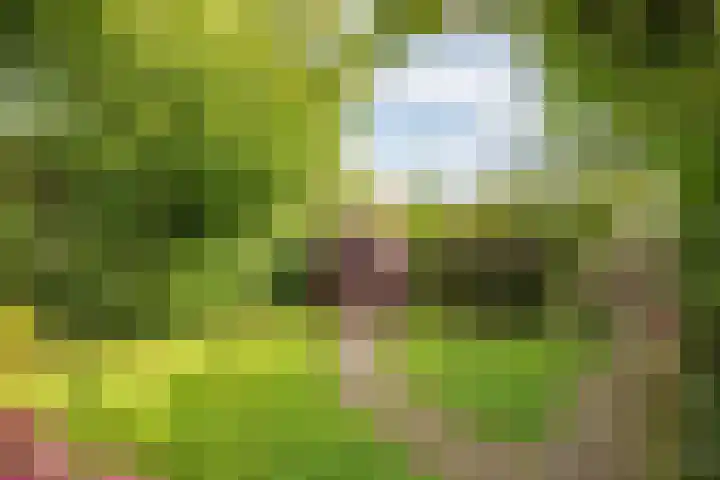 Rekerlanden 16 Warmenhuizen thumbnail 28