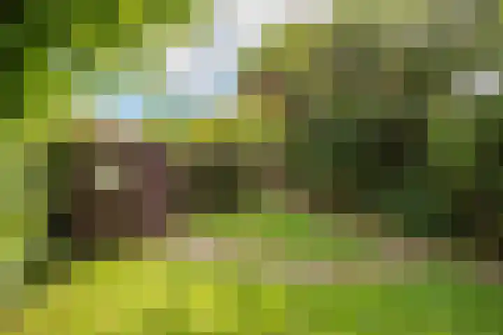 Rekerlanden 16 Warmenhuizen thumbnail 29