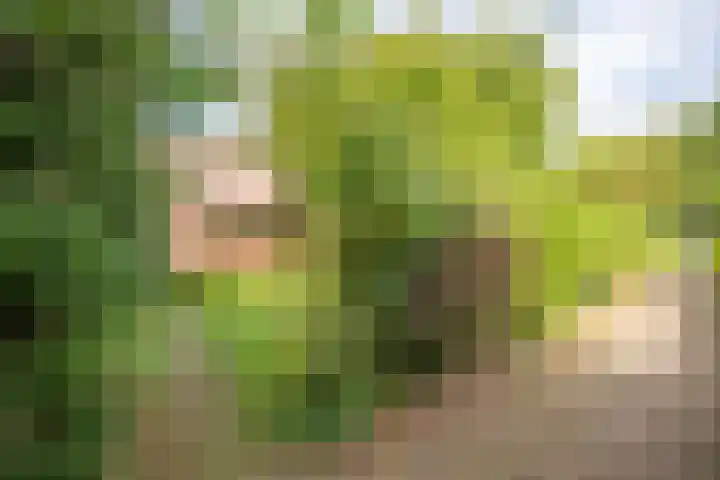 Rekerlanden 16 Warmenhuizen thumbnail 30