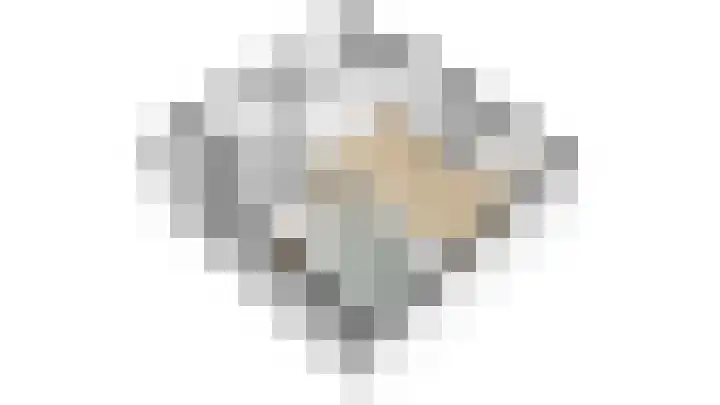 Rekerlanden 16 Warmenhuizen thumbnail 34