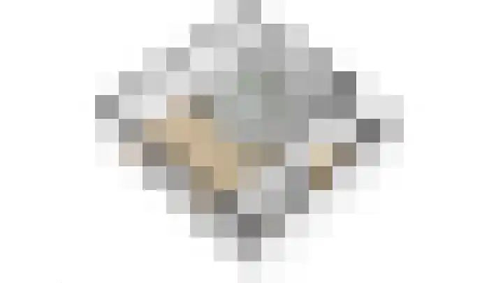 Rekerlanden 16 Warmenhuizen thumbnail 35