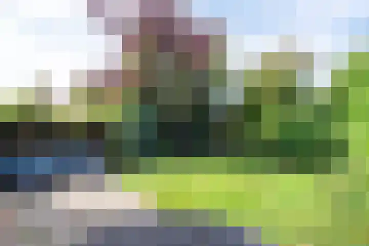 Rekerlanden 16 Warmenhuizen thumbnail 4