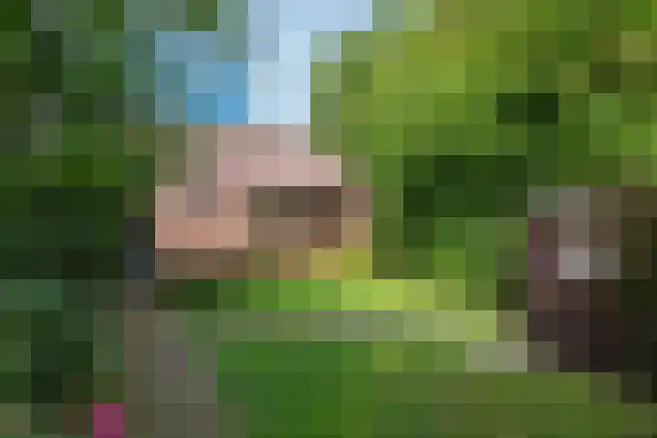 Rekerlanden 16 Warmenhuizen thumbnail 5