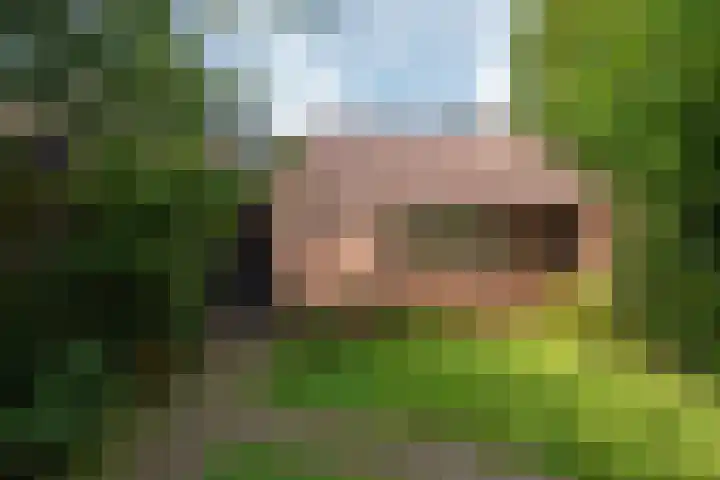Rekerlanden 16 Warmenhuizen thumbnail 6