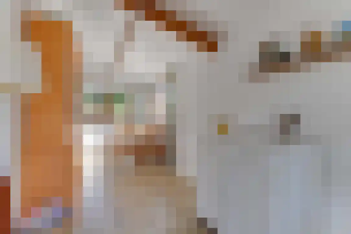 Rekerlanden 163 Warmenhuizen thumbnail 12