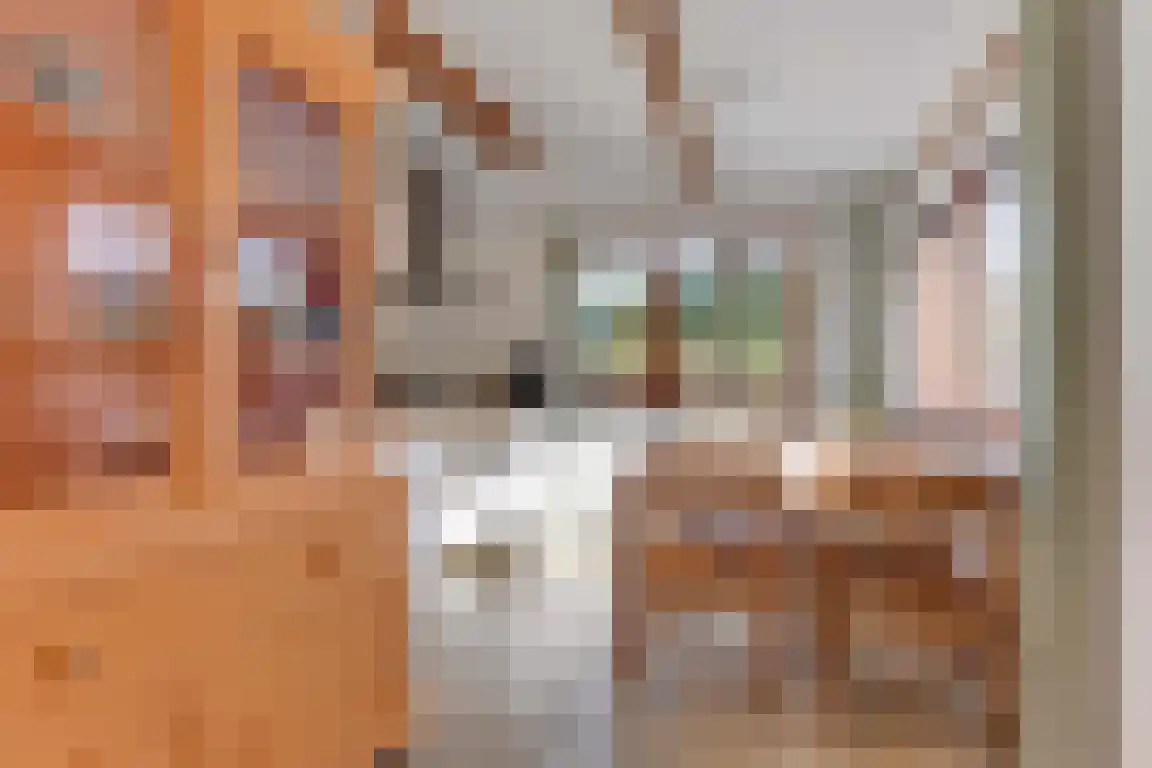 Rekerlanden 163 Warmenhuizen thumbnail 16