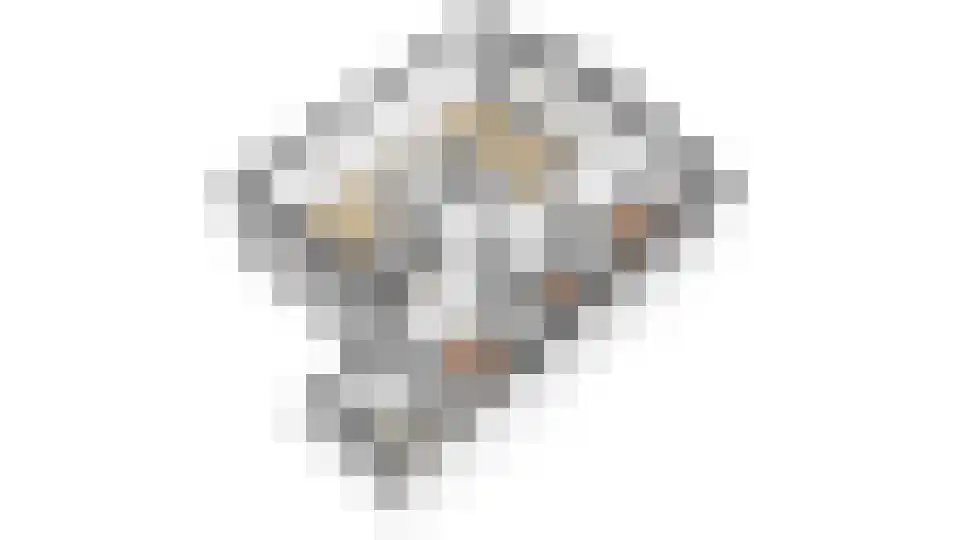 Rekerlanden 163 Warmenhuizen thumbnail 36