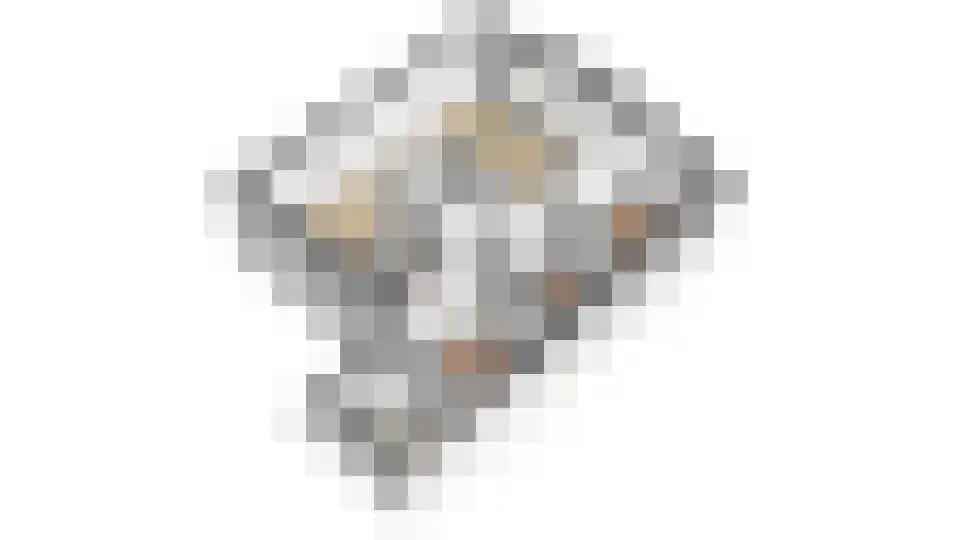 Rekerlanden 163 Warmenhuizen thumbnail 36