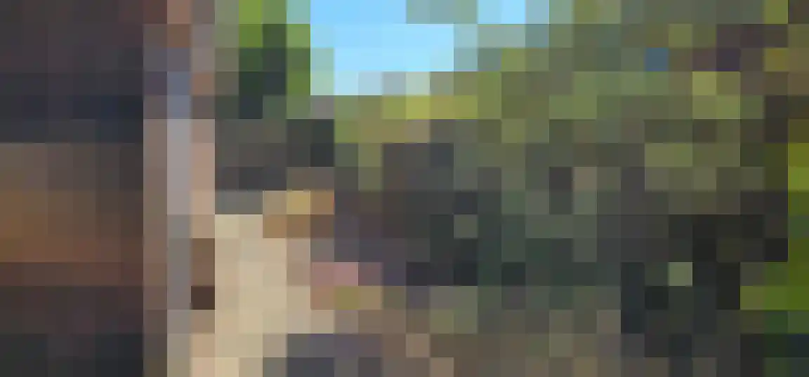 Rekerlanden 163 Warmenhuizen thumbnail 9