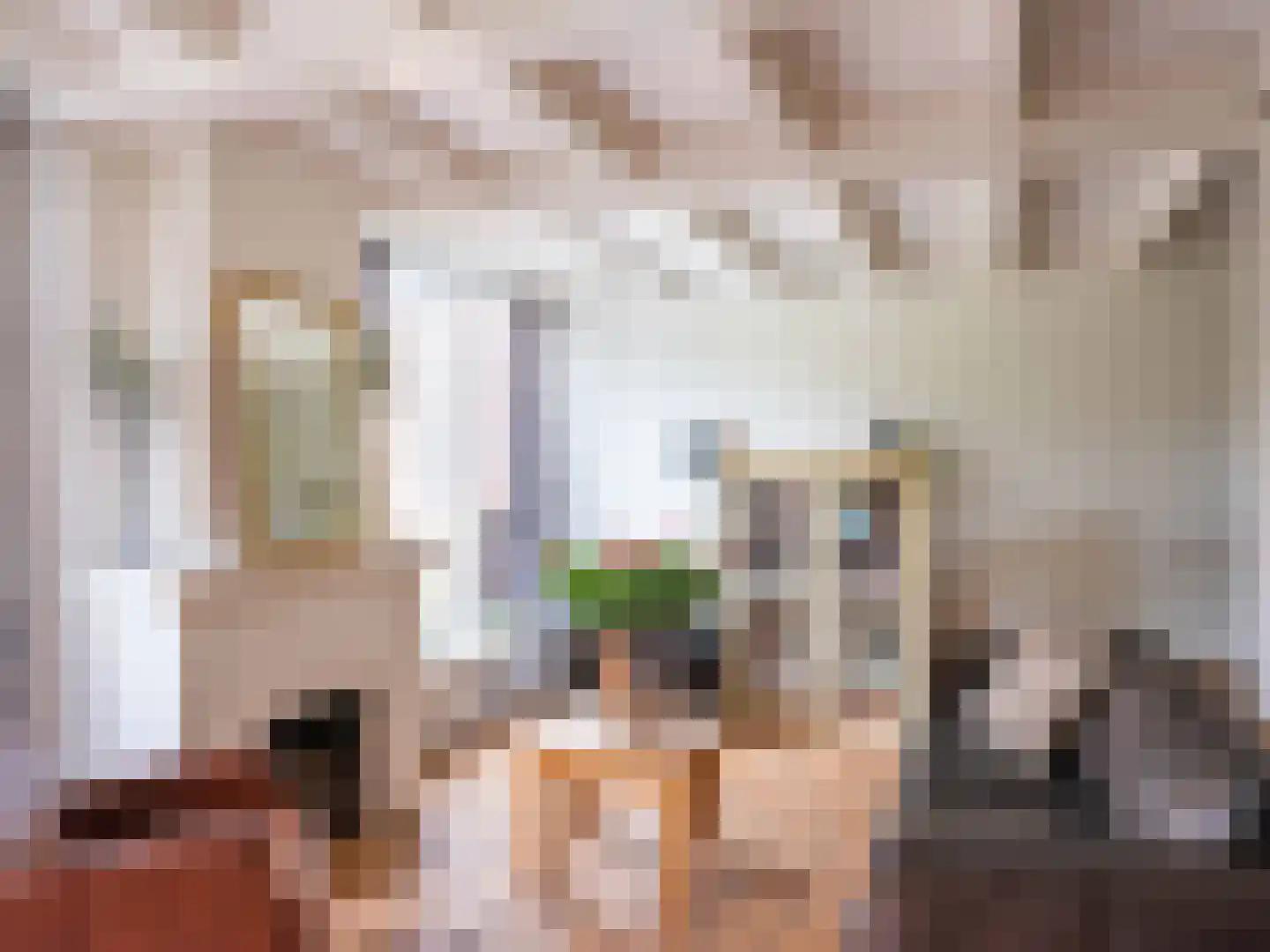 Rekerlanden 17 Warmenhuizen thumbnail 12