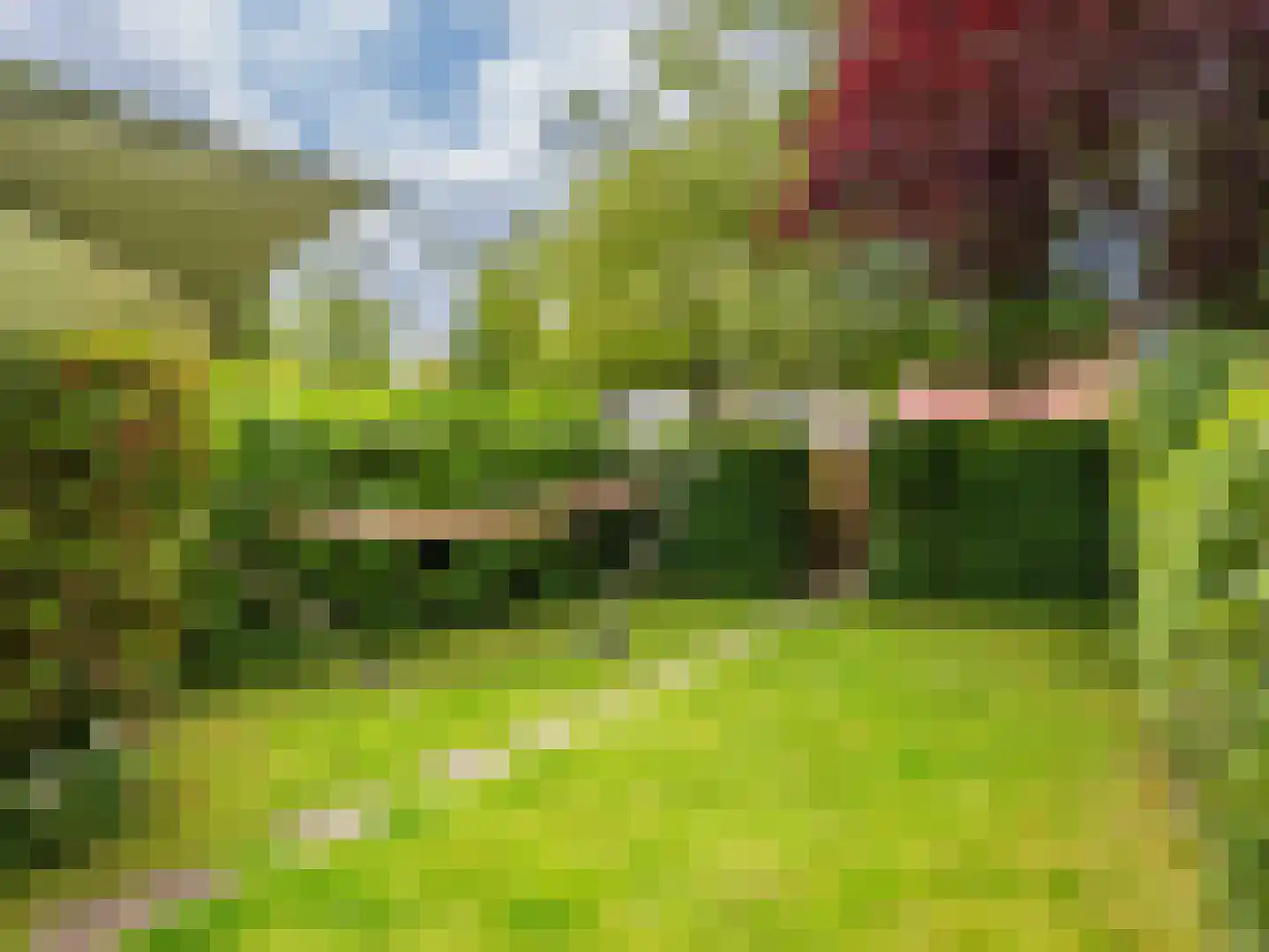 Rekerlanden 17 Warmenhuizen thumbnail 25