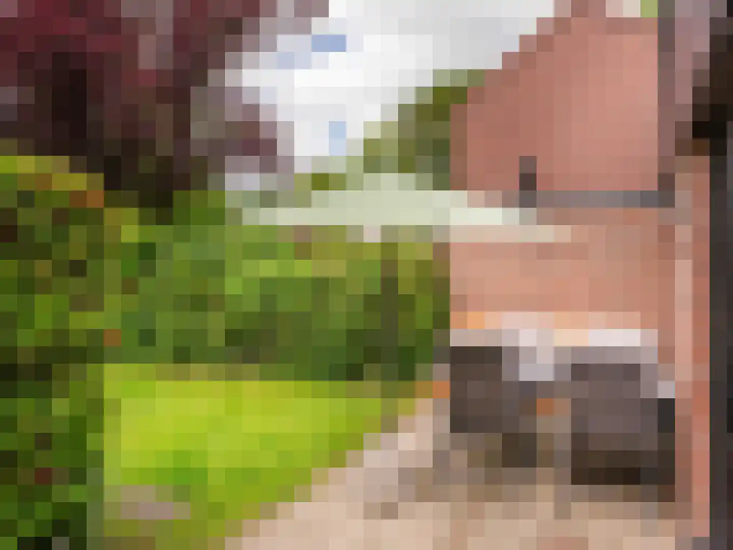 Rekerlanden 17 Warmenhuizen thumbnail 26