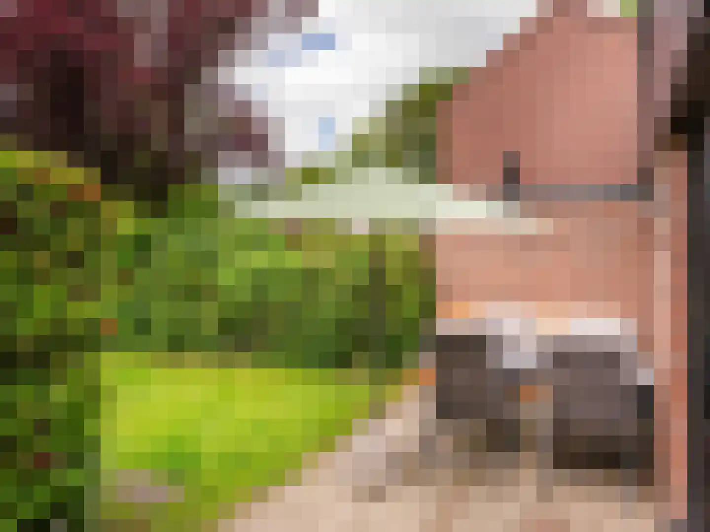 Rekerlanden 17 Warmenhuizen thumbnail 26