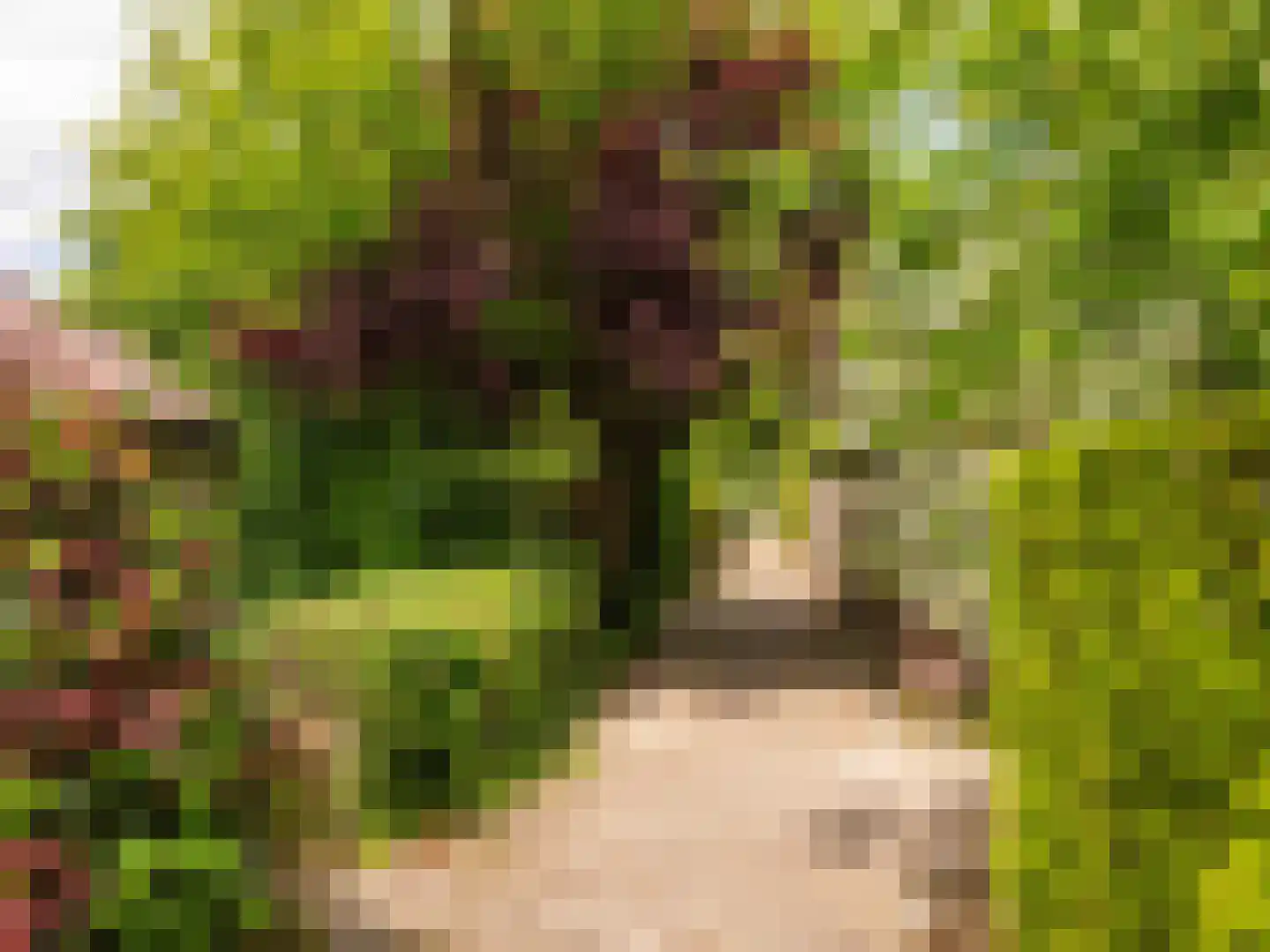 Rekerlanden 17 Warmenhuizen thumbnail 33