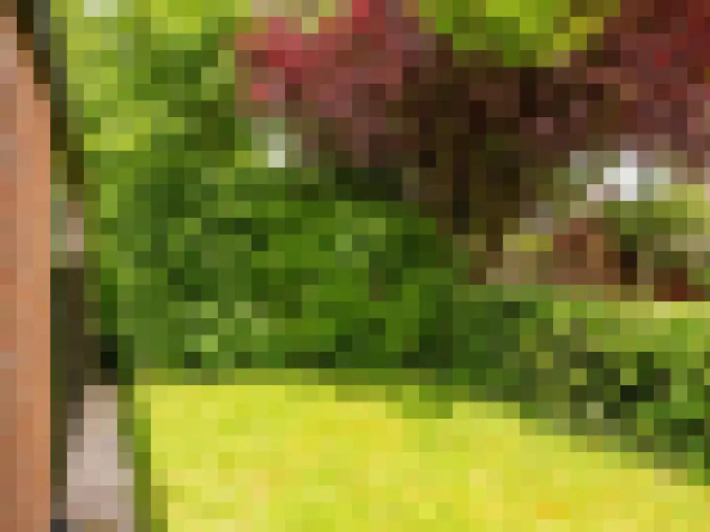 Rekerlanden 17 Warmenhuizen thumbnail 36