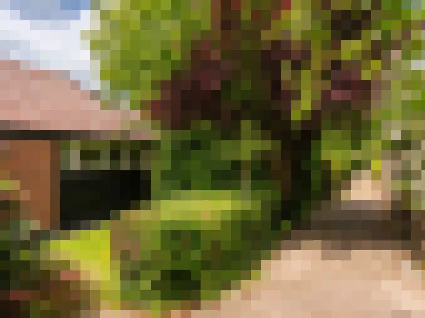 Rekerlanden 17 Warmenhuizen thumbnail 37