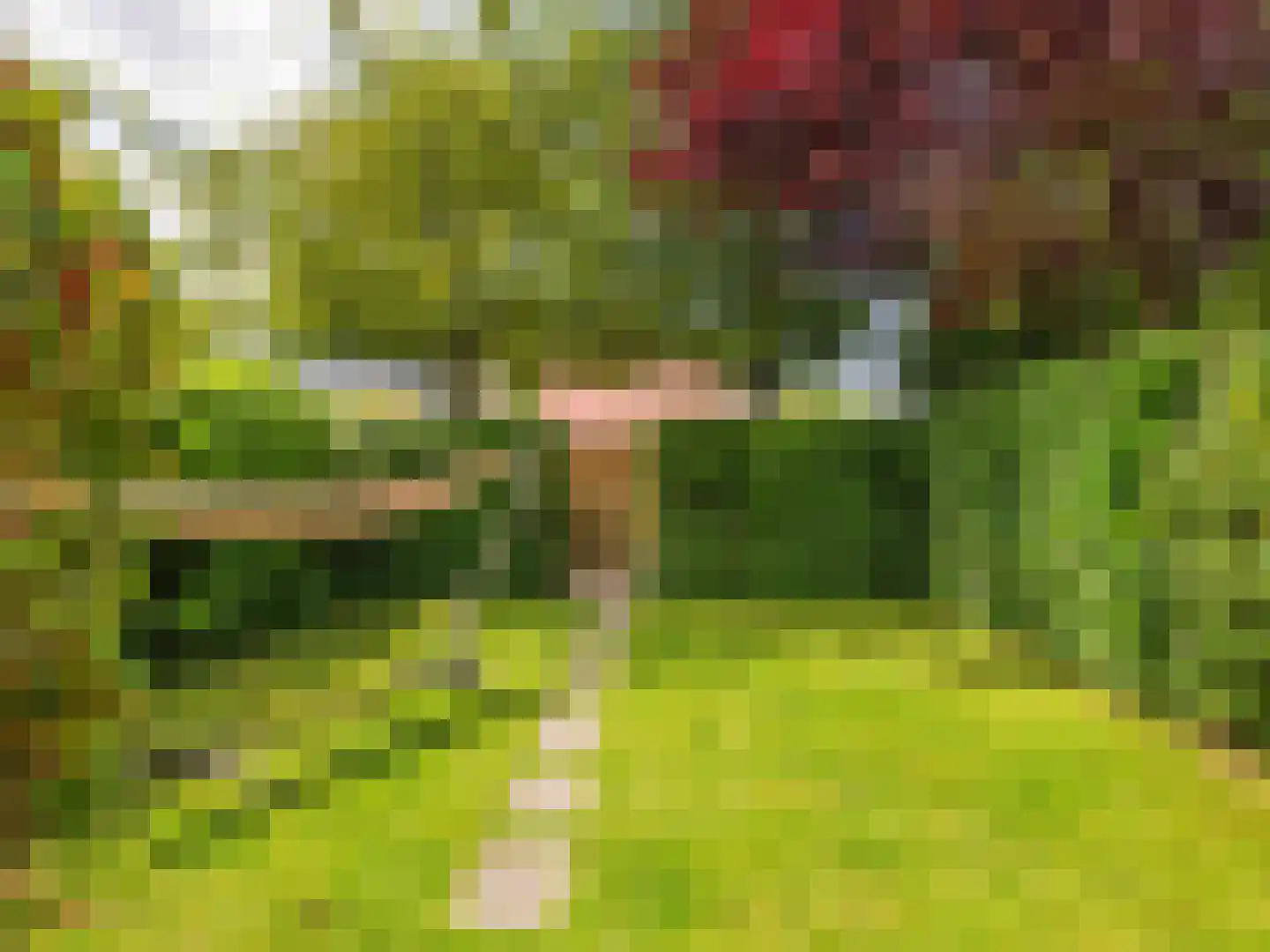 Rekerlanden 17 Warmenhuizen thumbnail 5