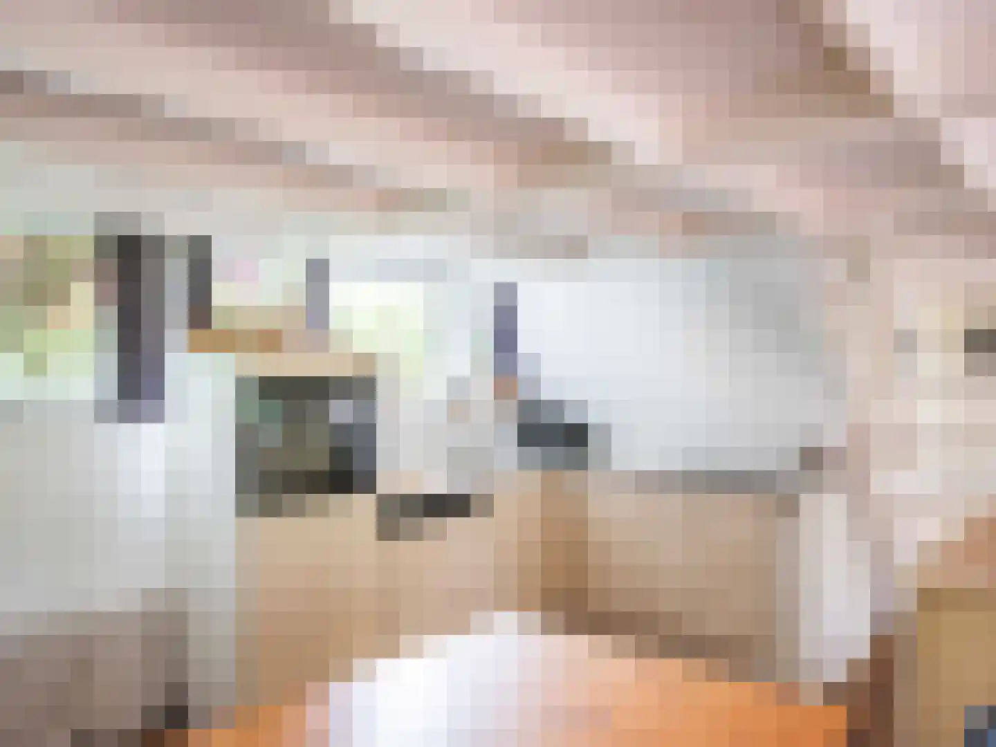 Rekerlanden 17 Warmenhuizen thumbnail 6