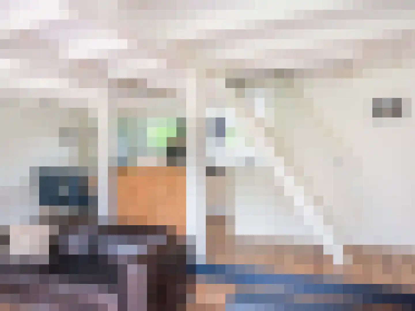 Rekerlanden 17 Warmenhuizen thumbnail 7