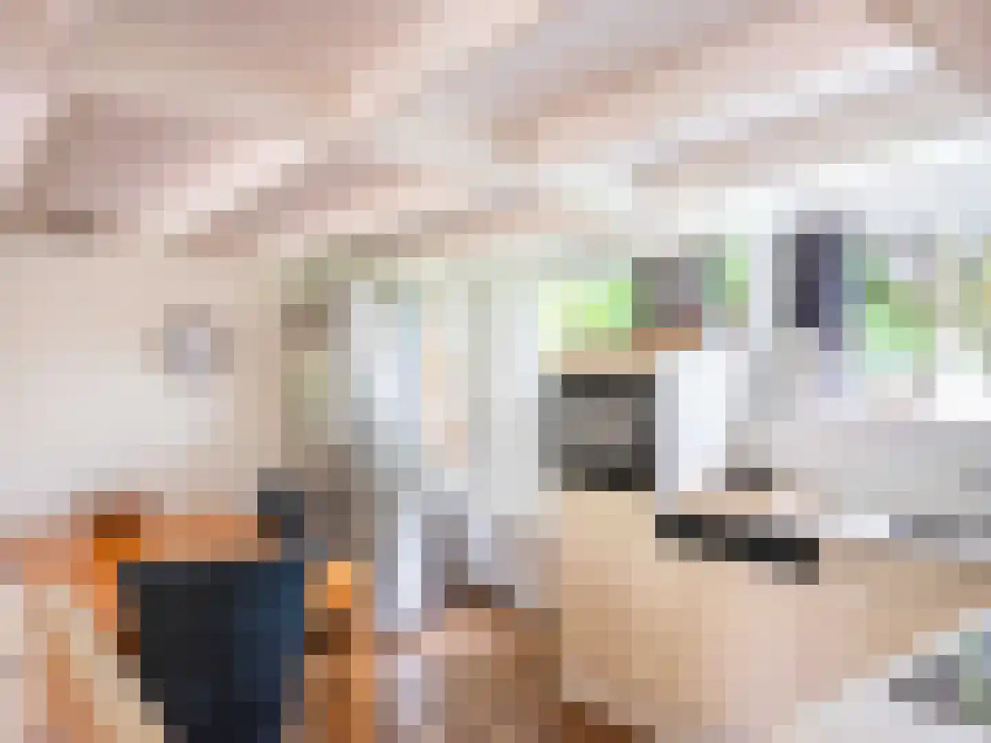 Rekerlanden 17 Warmenhuizen thumbnail 8