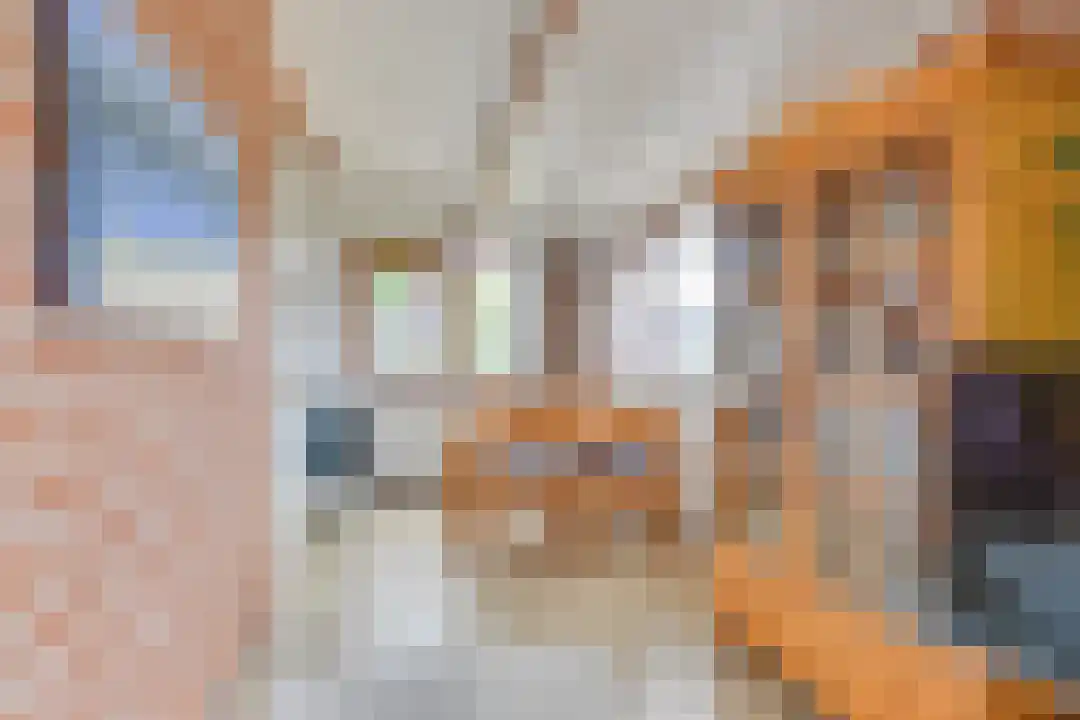 Rekerlanden 170 Warmenhuizen thumbnail 10