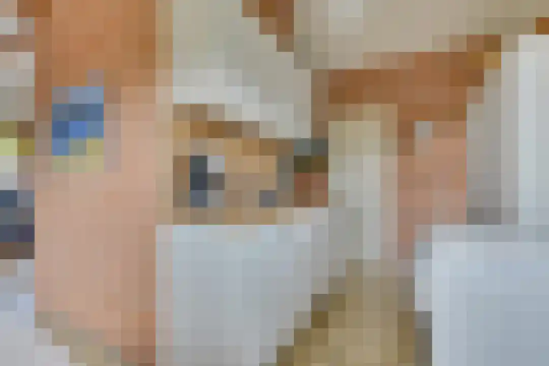 Rekerlanden 170 Warmenhuizen thumbnail 16