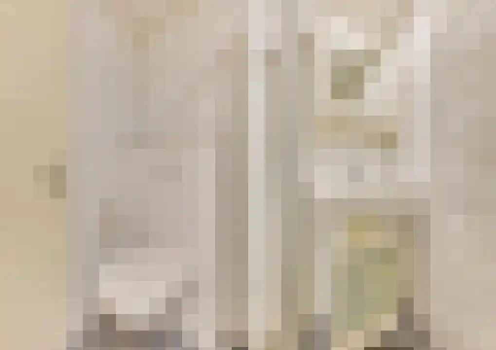 Rekerlanden 170 Warmenhuizen thumbnail 26