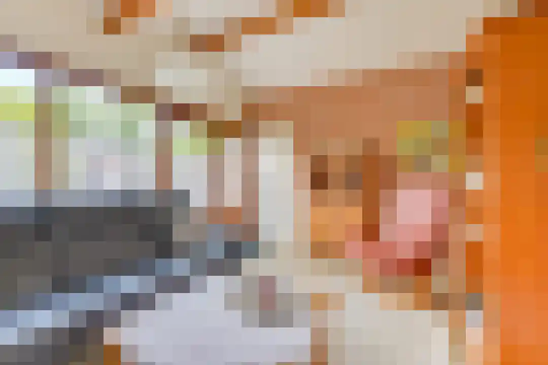 Rekerlanden 170 Warmenhuizen thumbnail 6