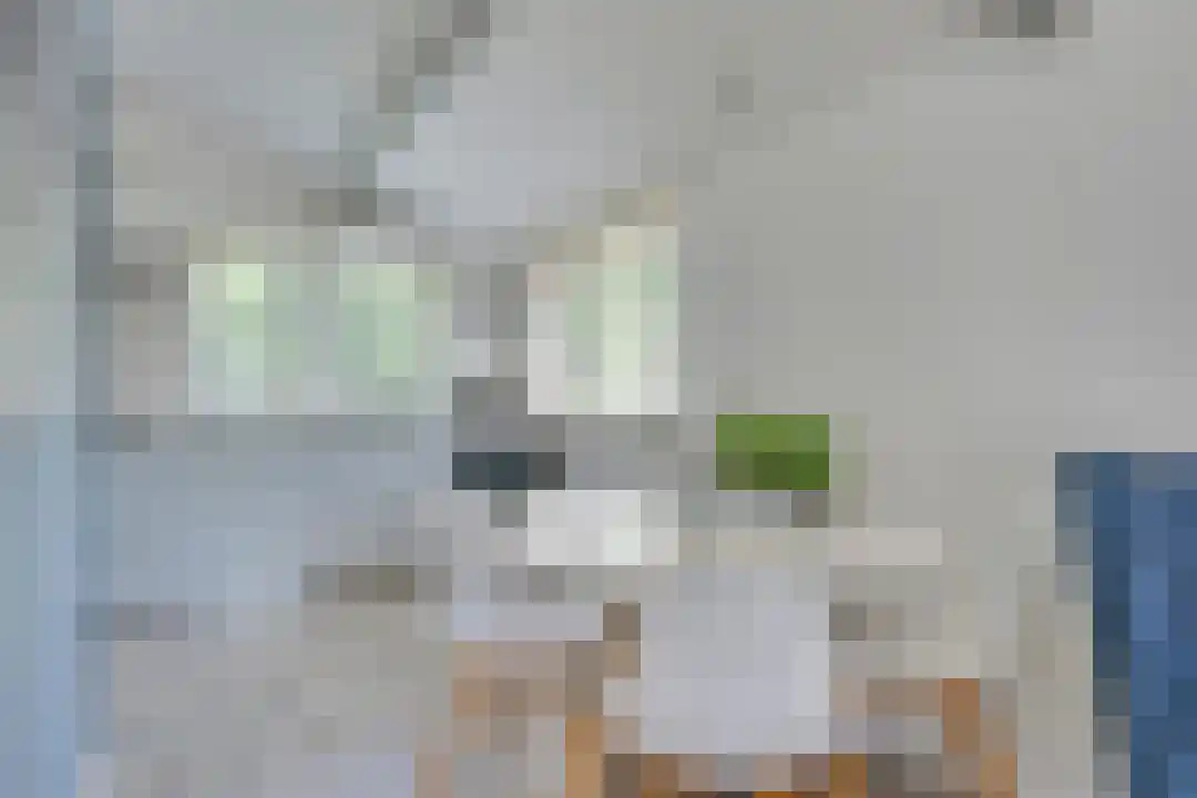 Rekerlanden 180 Warmenhuizen thumbnail 11