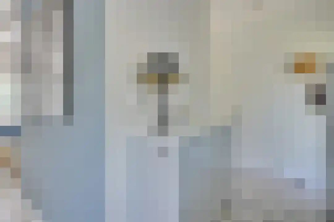 Rekerlanden 180 Warmenhuizen thumbnail 18