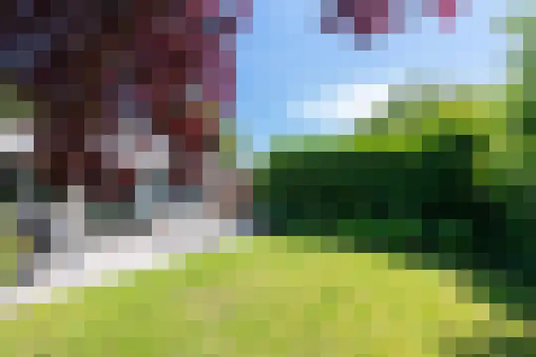 Rekerlanden 180 Warmenhuizen thumbnail 19