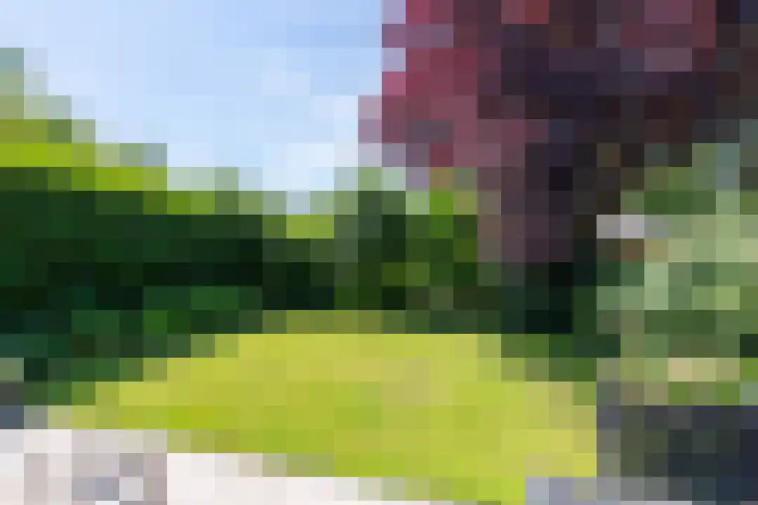 Rekerlanden 180 Warmenhuizen thumbnail 20