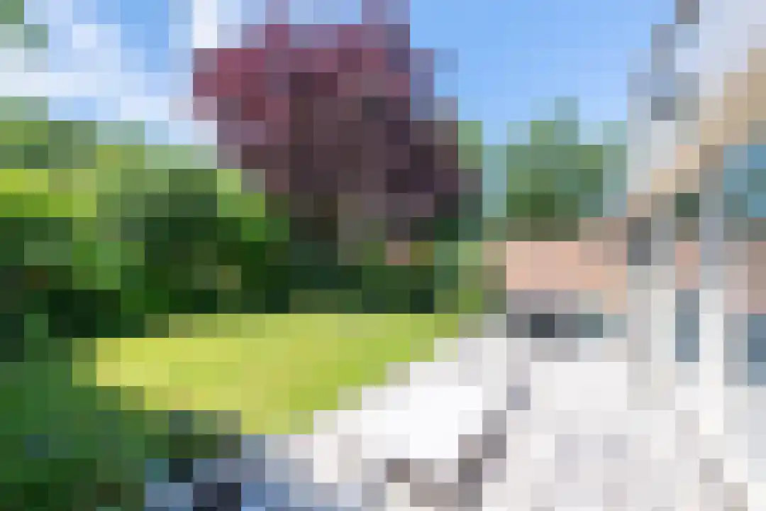 Rekerlanden 180 Warmenhuizen thumbnail 22