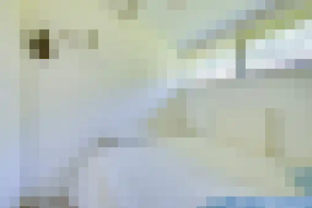 Rekerlanden 180 Warmenhuizen thumbnail 25
