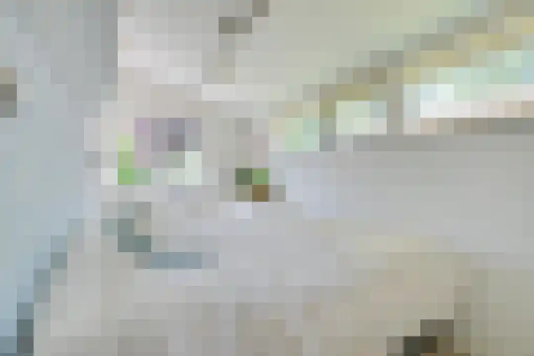 Rekerlanden 180 Warmenhuizen thumbnail 28