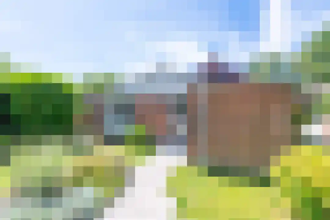 Rekerlanden 180 Warmenhuizen thumbnail 32