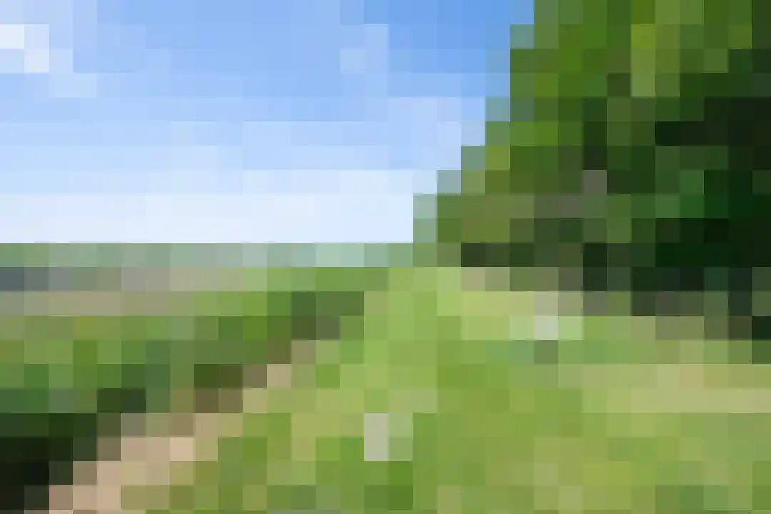 Rekerlanden 180 Warmenhuizen thumbnail 33