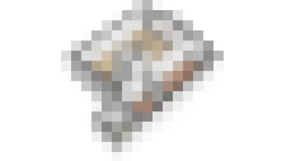 Rekerlanden 180 Warmenhuizen thumbnail 38