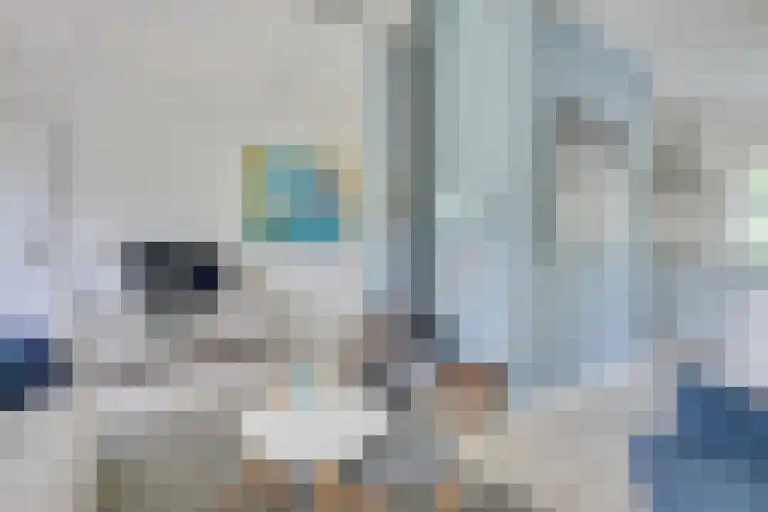 Rekerlanden 180 Warmenhuizen thumbnail 8