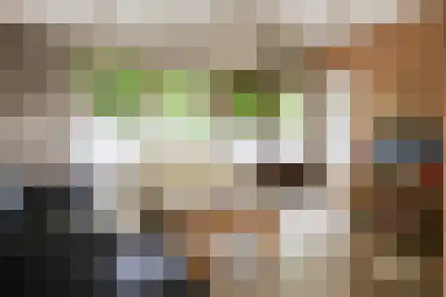 Rekerlanden 187 Warmenhuizen thumbnail 10