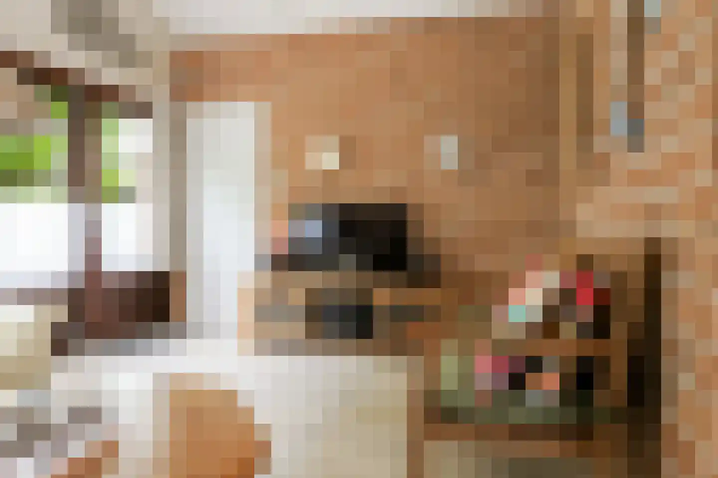 Rekerlanden 187 Warmenhuizen thumbnail 11