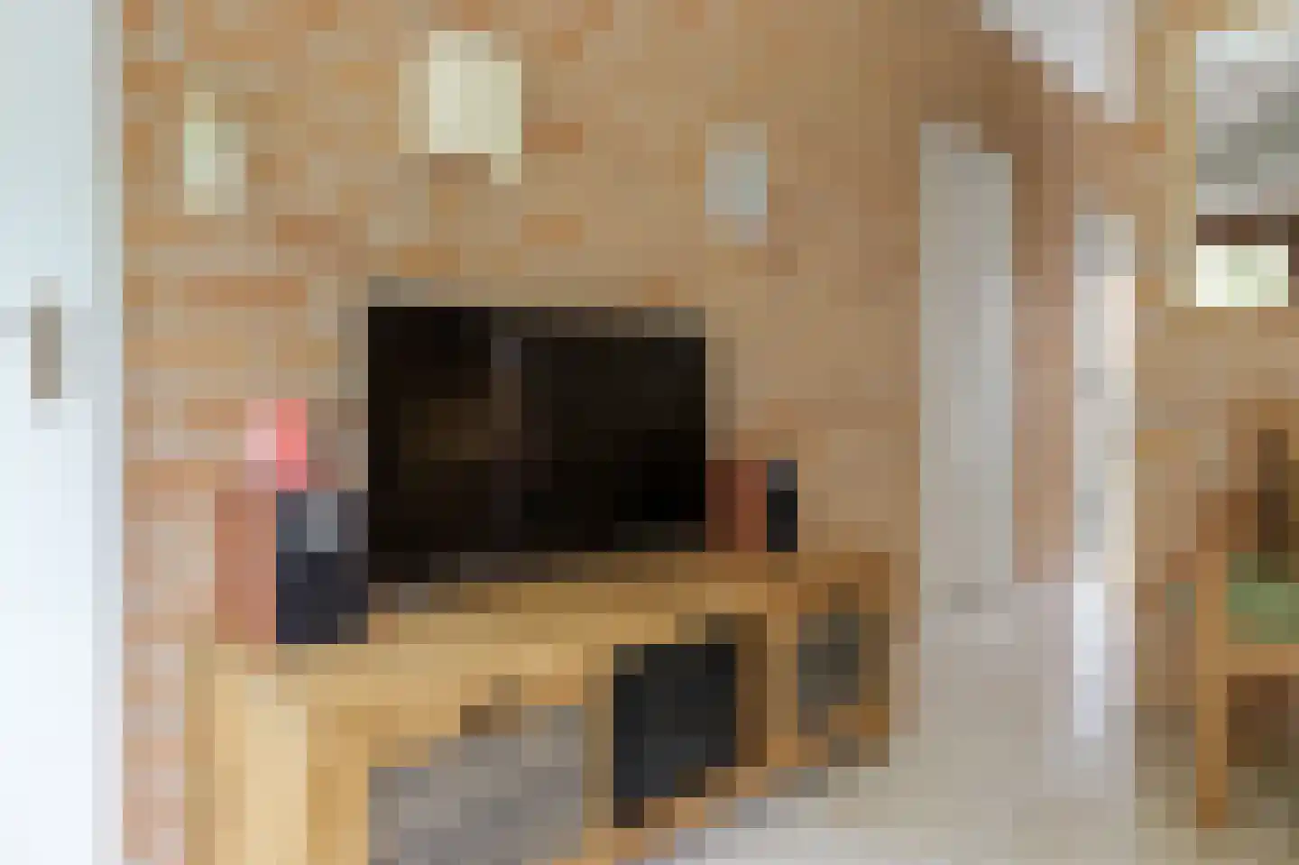 Rekerlanden 187 Warmenhuizen thumbnail 12