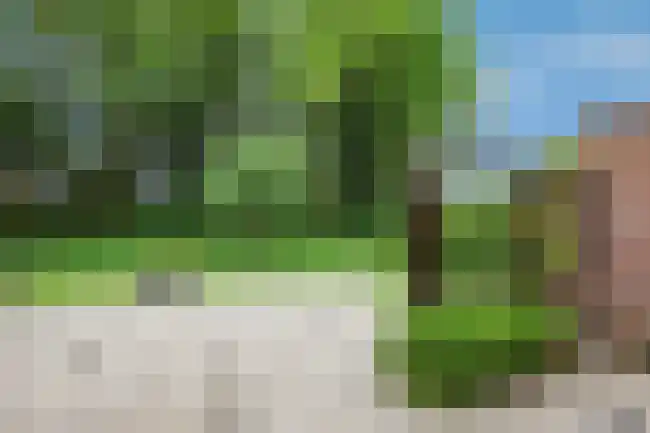 Rekerlanden 187 Warmenhuizen thumbnail 20